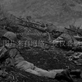 **朝鲜军需工业副部长被拘留事件多维度对比分析**